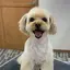 みぃちゃんのプロフィール画像