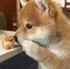 しばちゃんのプロフィール画像