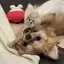 みきのプロフィール画像