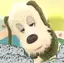 まのプロフィール画像