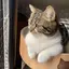 まゆこのプロフィール画像
