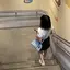 N♡のプロフィール画像