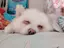 ゆりあのプロフィール画像