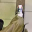 amIのプロフィール画像
