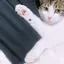 春姫のプロフィール画像
