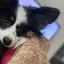 kaoのプロフィール画像