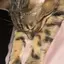 rikoのプロフィール画像