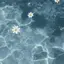 🌼のプロフィール画像