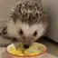 misaのプロフィール画像