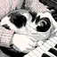 ☺︎のプロフィール画像