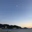 ポンテのプロフィール画像