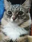 Rianのプロフィール画像