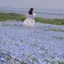 パルムのプロフィール画像