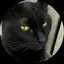 まりのプロフィール画像