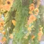 ありんこのプロフィール画像