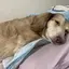 りーたんのプロフィール画像