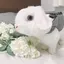 インジェンのプロフィール画像