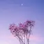 ゆりなのプロフィール画像