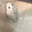 sanaのプロフィール画像