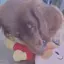 たなかみにものプロフィール画像