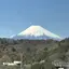 はるあかりんのプロフィール画像
