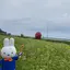 6v6のプロフィール画像