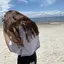 みーのプロフィール画像