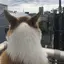 あきらのプロフィール画像