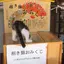 リンゴのプロフィール画像