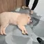 むーのプロフィール画像