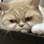 おぐりんのプロフィール画像