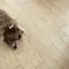 (^_^)のプロフィール画像