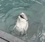 陽炎のプロフィール画像