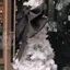 miyuのプロフィール画像