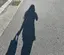 mooのプロフィール画像