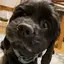 じゅんのプロフィール画像