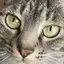 てのプロフィール画像