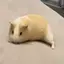 チョコママ🍫のプロフィール画像