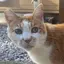 hのプロフィール画像