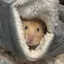 manoのプロフィール画像