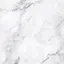 Sのプロフィール画像
