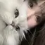 えんじぇるのプロフィール画像