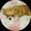 はっぴーのプロフィール画像