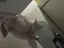 みーちゃんのプロフィール画像