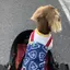 彩のプロフィール画像