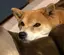 るらのプロフィール画像
