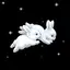 hinaのプロフィール画像