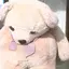 Rのプロフィール画像