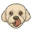 佐藤のプロフィール画像