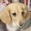 さらんのプロフィール画像
